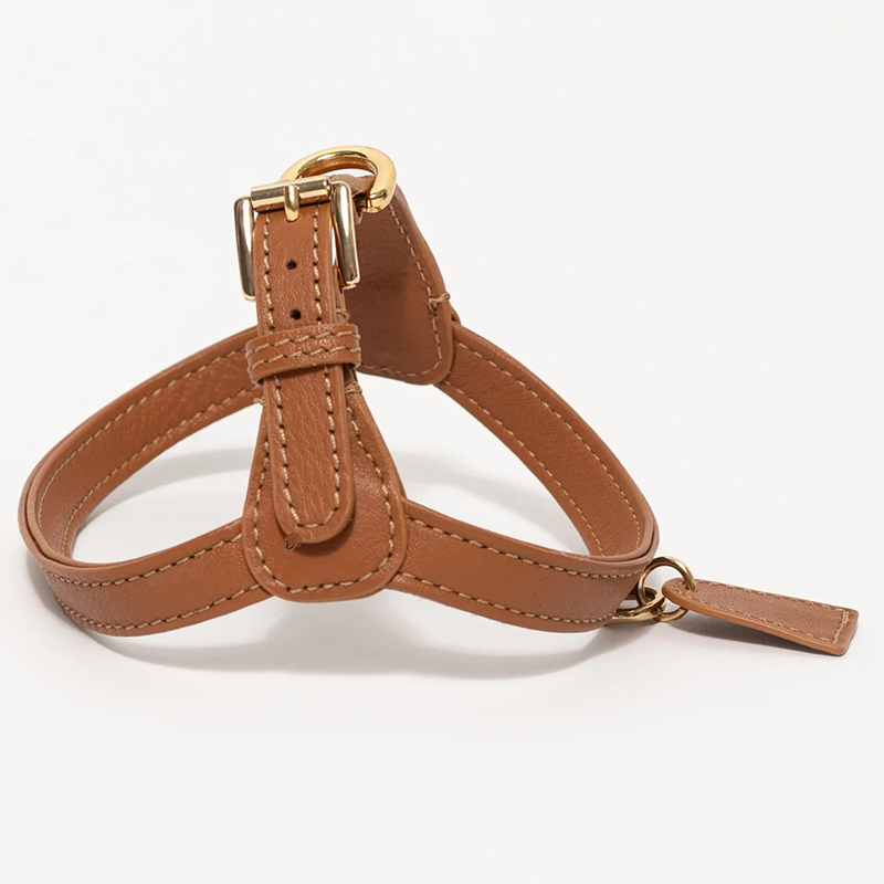 High-quality Dog Harness and leash