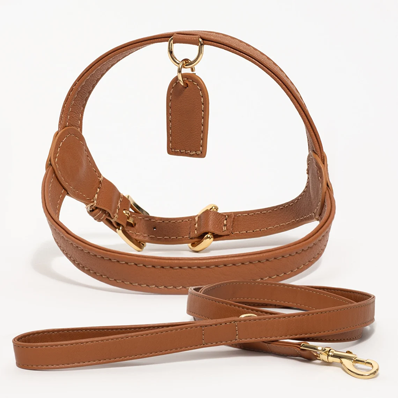 High-quality Dog Harness and leash